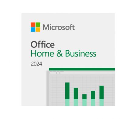 MS OFFICE HOME AND BUSINNESS 2024 EP2-06608 ESD