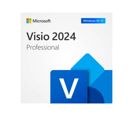 MS VISIO PRO 2024 ONLINE EP2-07111 ESD