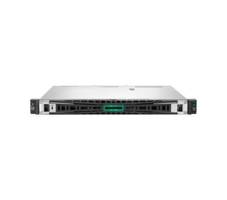 HPE DL20 GEN11 2LFF SVR (P65391-B21) FACT. I