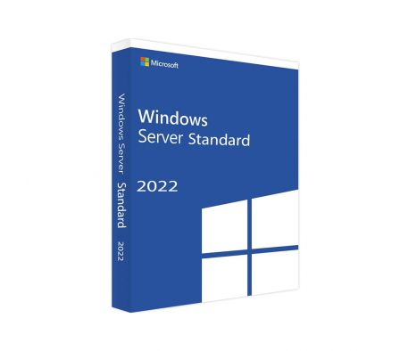 MS OEM DVD WIND SERVER 2022 64 BIT SPA 1PK 16 CORE